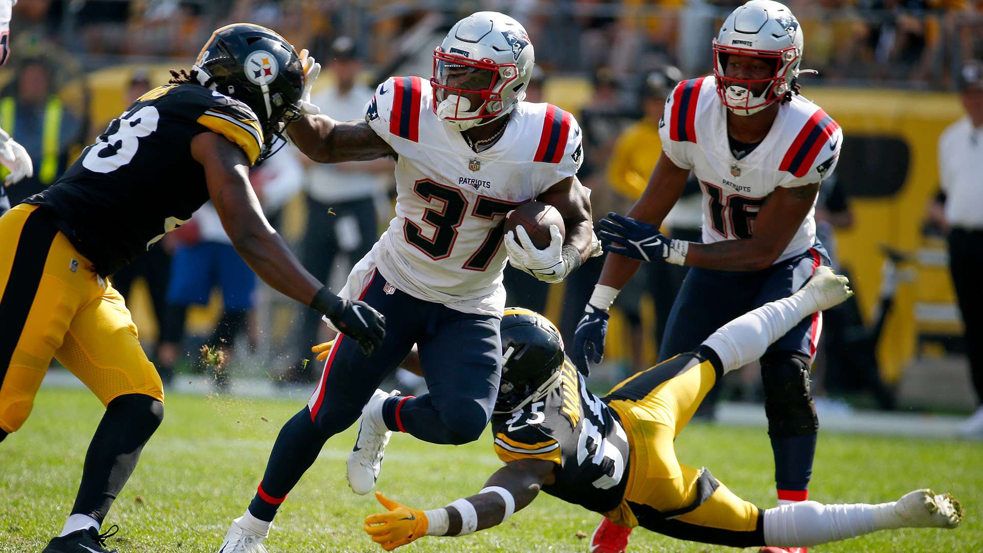 尤其是在双 尤其是在双